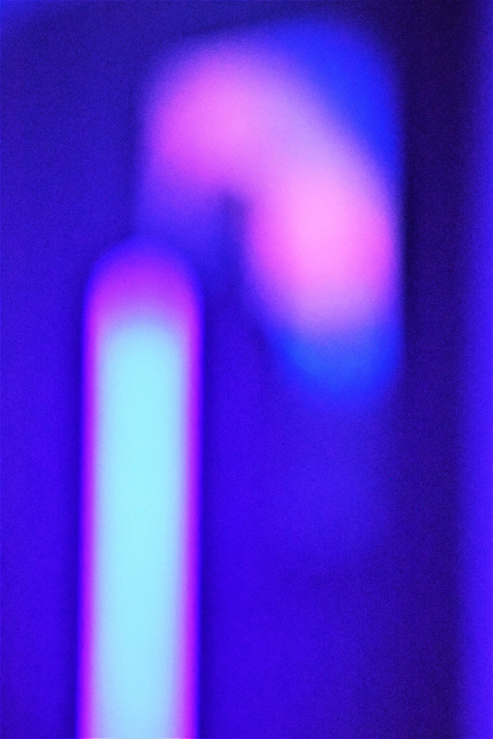 1DSC_1632